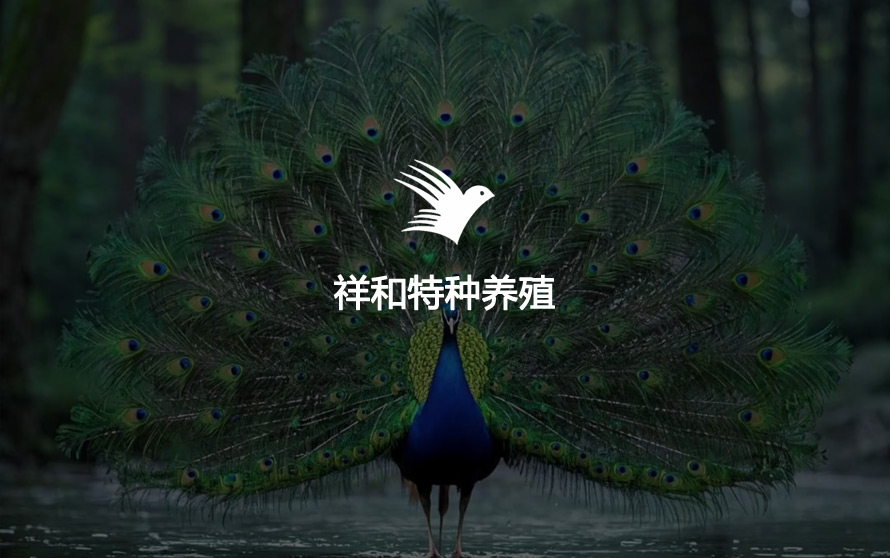 宿迁网络公司-宿迁市祥和珍禽养殖网